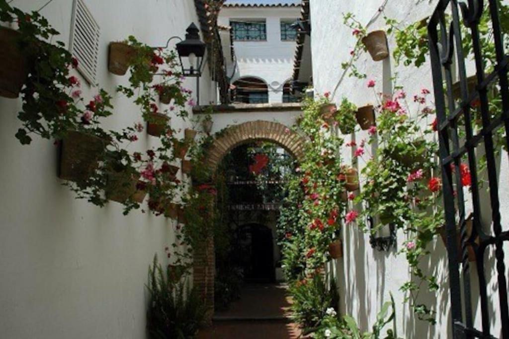 شقة La Casita Azul لقنت المظهر الخارجي الصورة